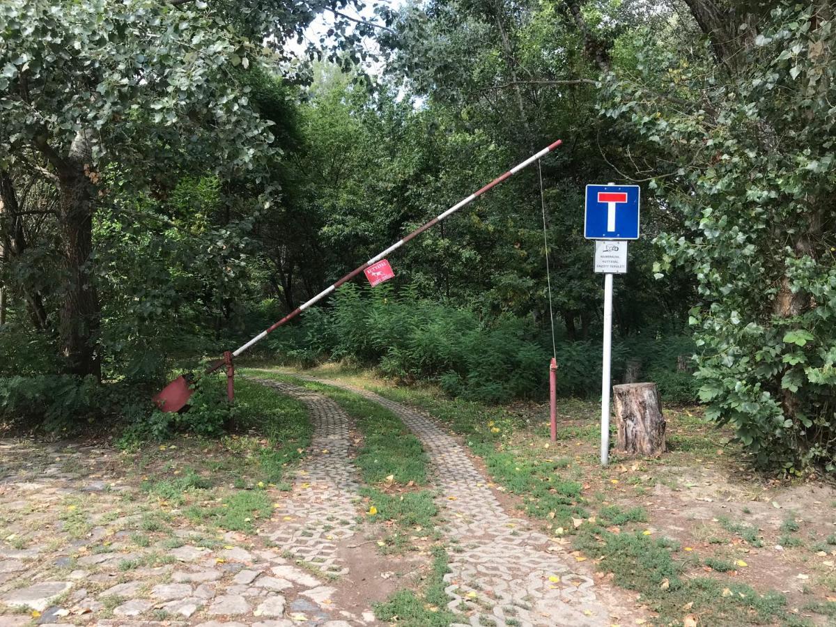 Tisza-Beach Wild Camping 5 Szeged Buitenkant foto